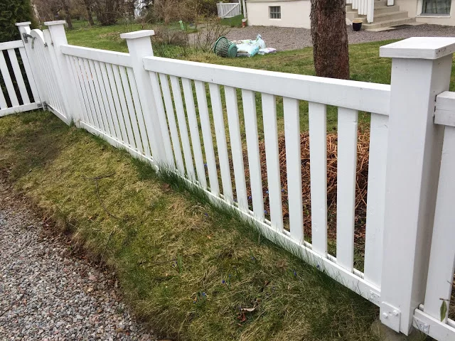 blogger image 855904190